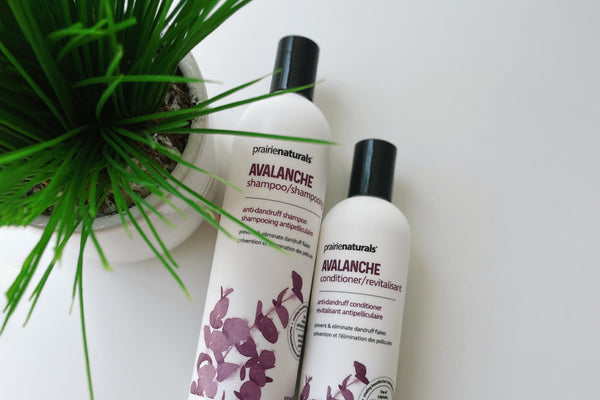 Prairie Naturals Avalanche Anti-Dandruff Conditioner 11.8oz